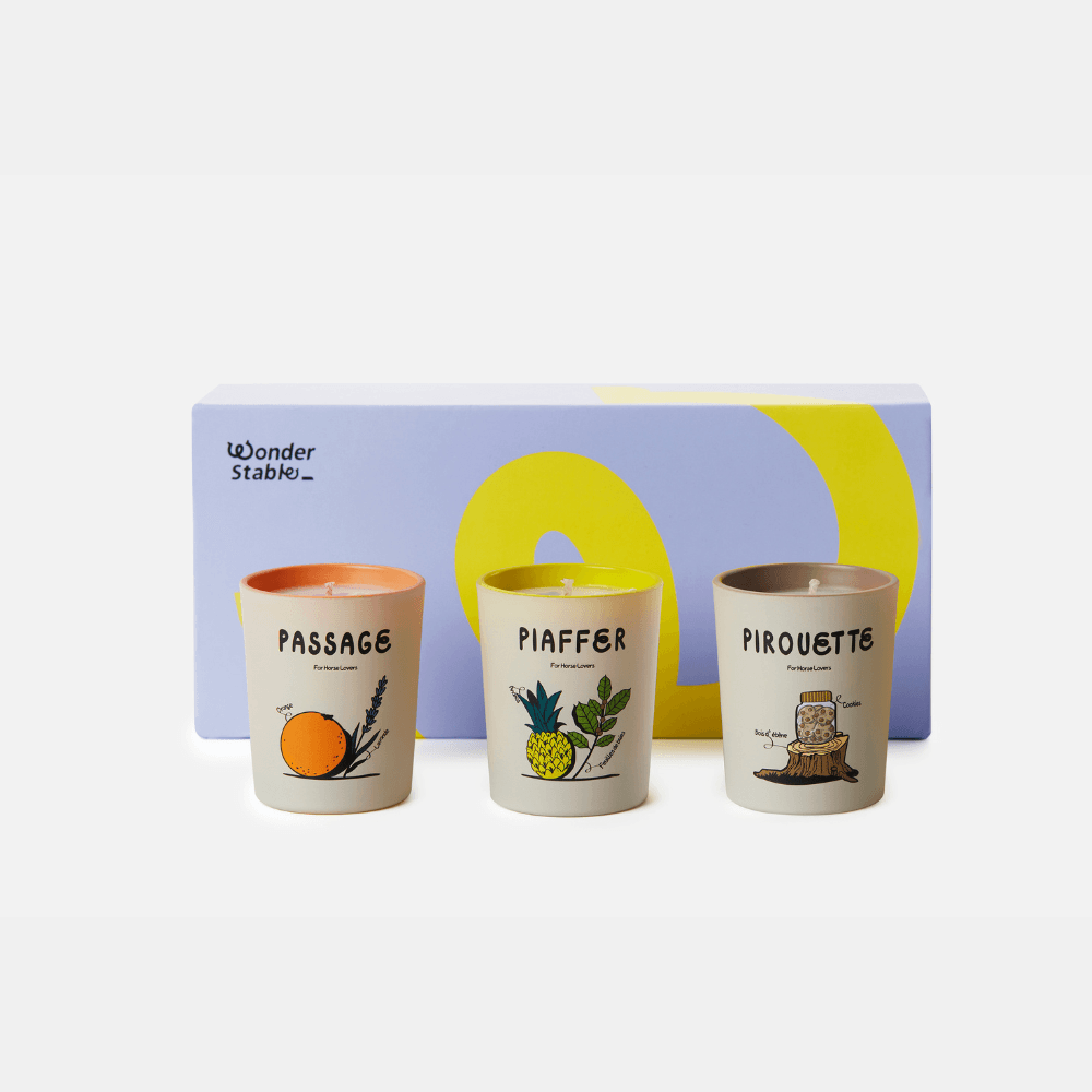 DRESSAGE - Coffret de 3 bougies aromatiques - 70g x 3 - Wonder Stable