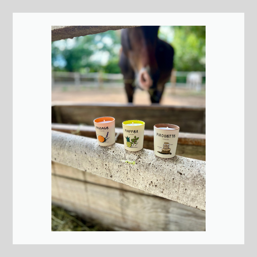 DRESSAGE - Coffret de 3 bougies aromatiques - 70g x 3