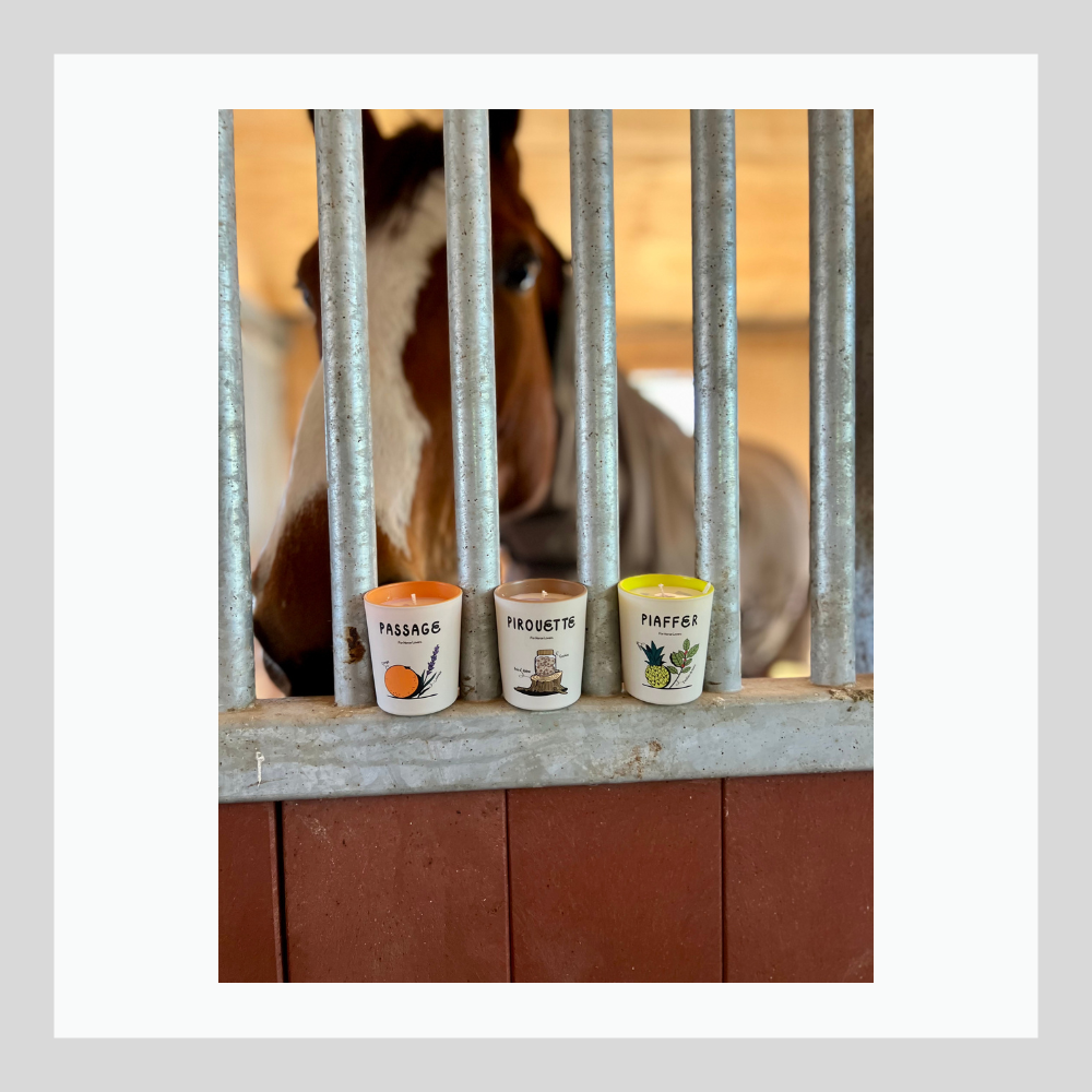 DRESSAGE - Coffret de 3 bougies aromatiques - 70g x 3