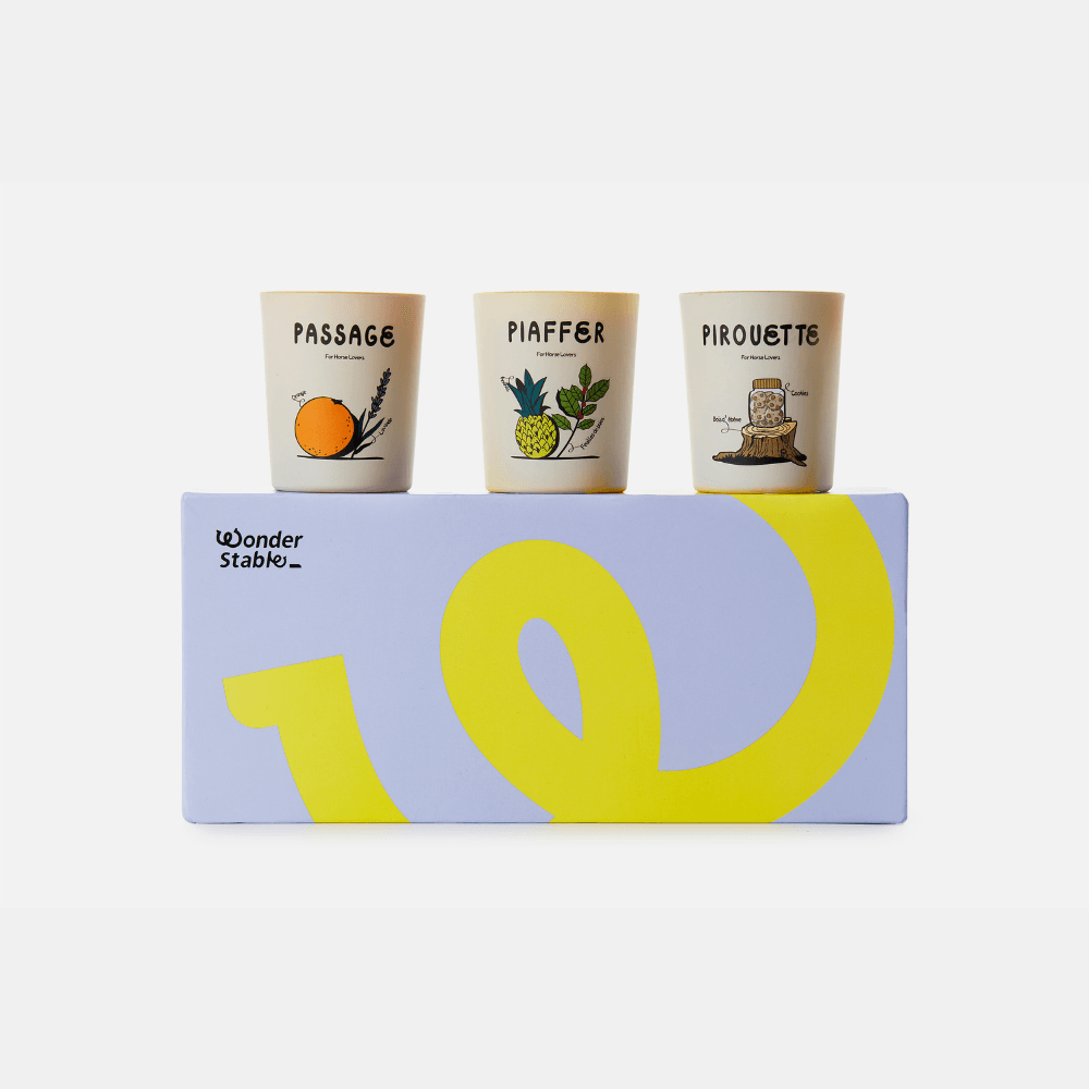DRESSAGE - Coffret de 3 bougies aromatiques - 70g x 3 - Wonder Stable
